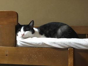 20160923 (9).jpg