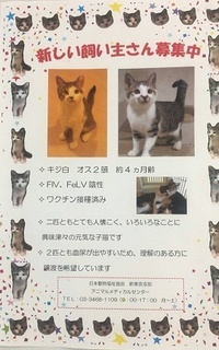 よしお500.jpg